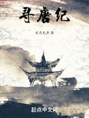 寻唐纪