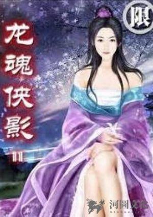 龙魂侠影
