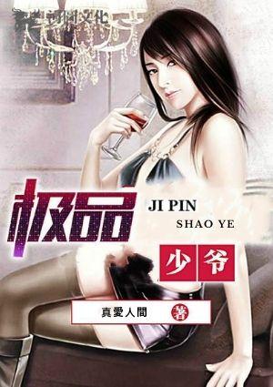 极品少爷