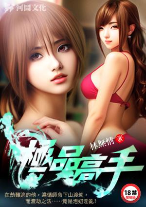 极品高手