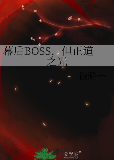 幕后BOSS，但正道之光