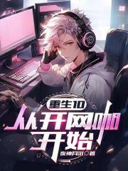 重生10，从开网咖开始